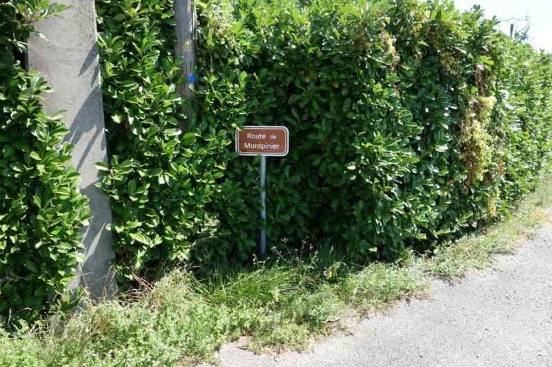 Agrandir l'image De la halte de Blan à la gare de Lempaut