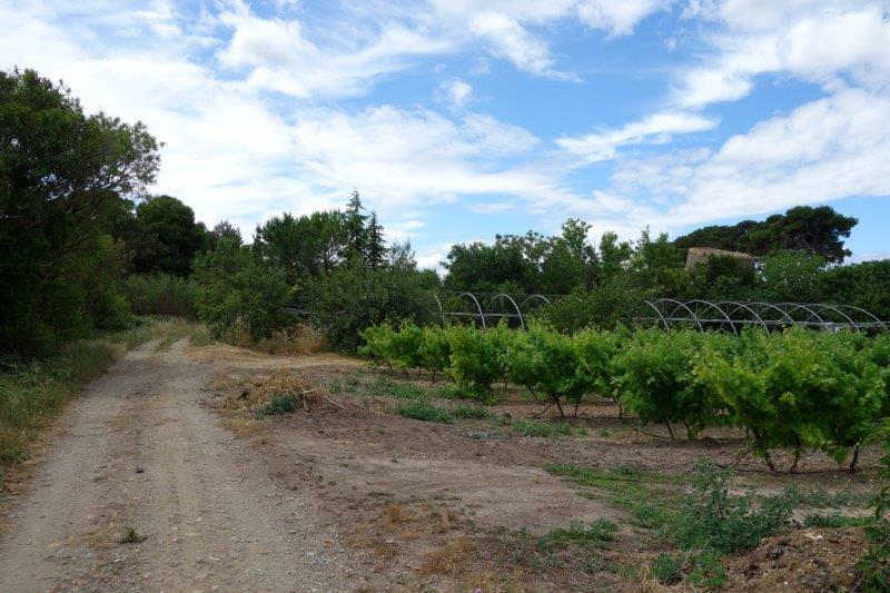 Agrandir l'image De la gare d'Azille à la gare de La Redorte