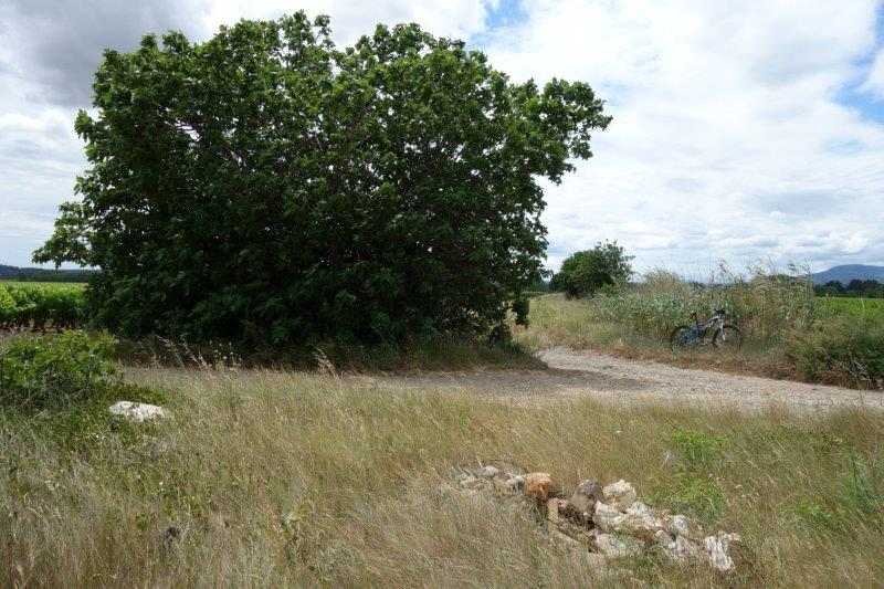 Agrandir l'image De la gare d'Azille à la gare de La Redorte