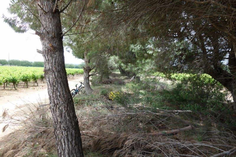 Agrandir l'image De la gare d'Azille à la gare de La Redorte