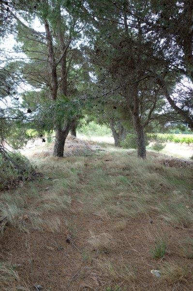 Agrandir l'image De la gare d'Azille à la gare de La Redorte