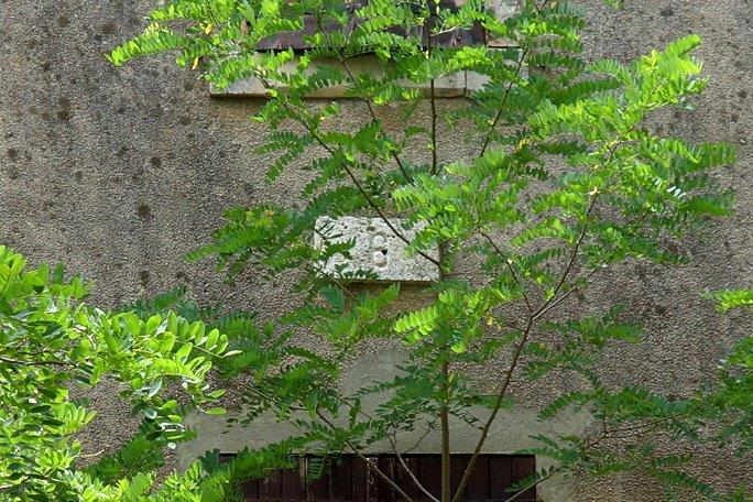 Agrandir l'image De la gare de Puichéric à la gare de Saint-Couat