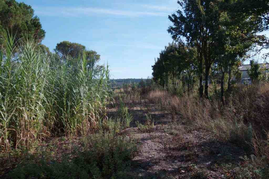 Agrandir l'image De la gare de Ribaute-les-Tavernes à la gare du Mas-de-Gardies