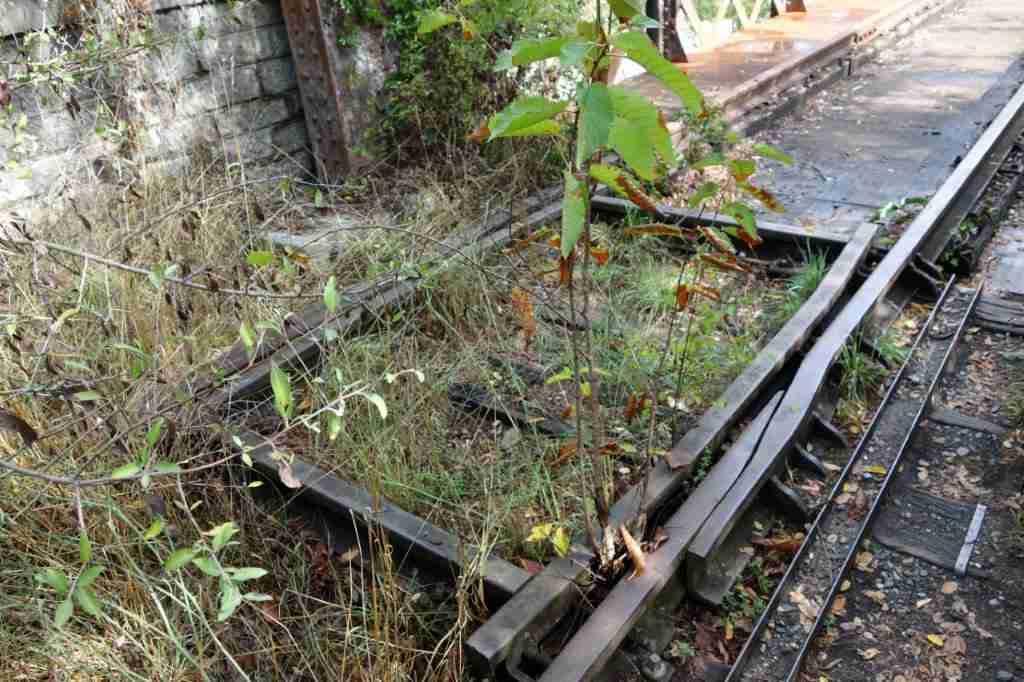 Agrandir l'image De la gare de Ribaute-les-Tavernes à la gare du Mas-de-Gardies