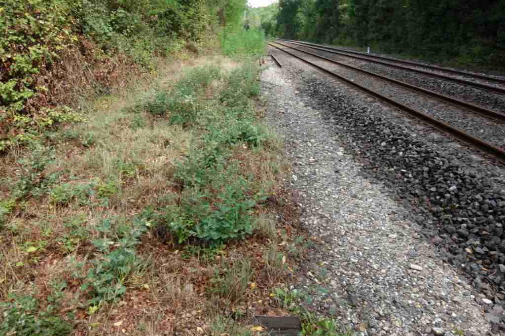 Agrandir l'image De la gare de Ribaute-les-Tavernes à la gare du Mas-de-Gardies