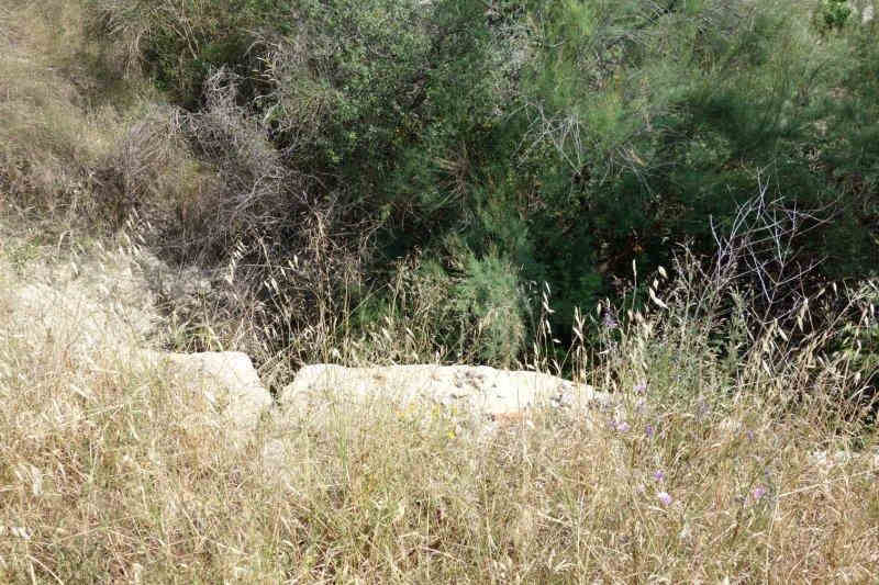 Agrandir l'image De la halte de la Grange Basse à la gare de Puisserguier