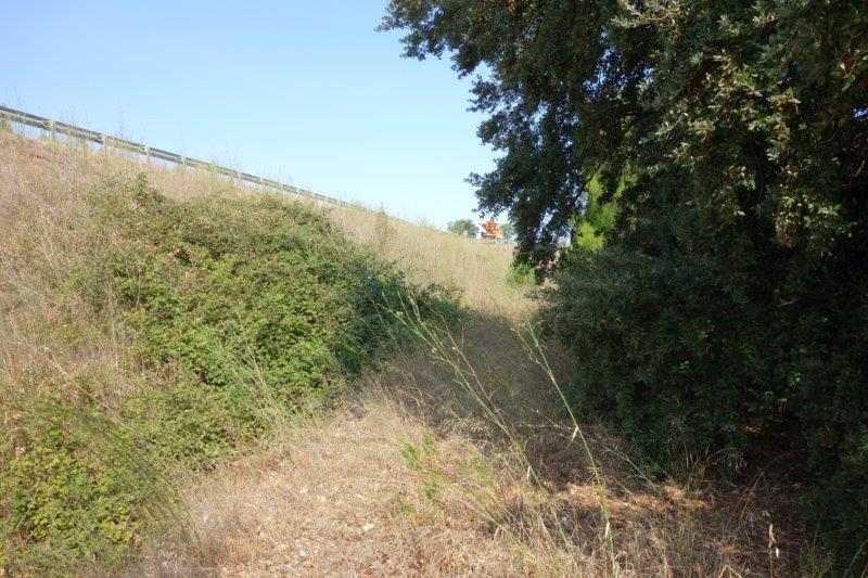 Agrandir l'image De la halte d'Aspiran à la gare de Clermont-l'Hérault