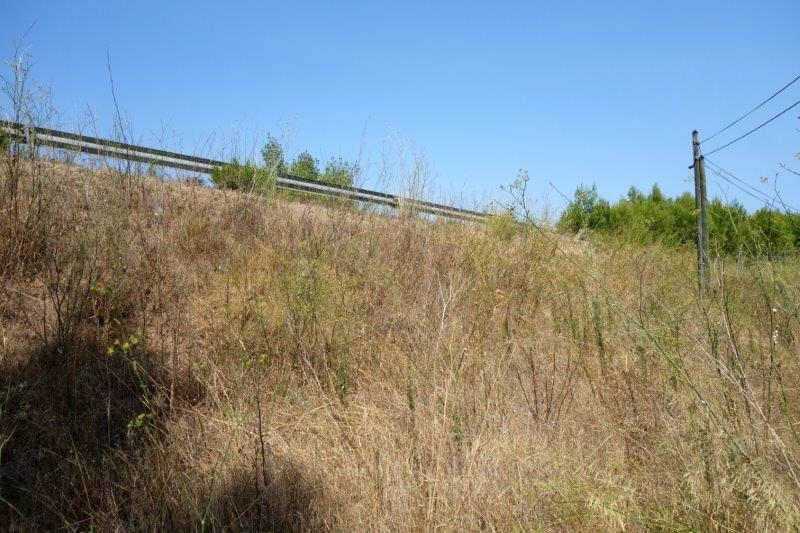 Agrandir l'image De la halte d'Aspiran à la gare de Clermont-l'Hérault