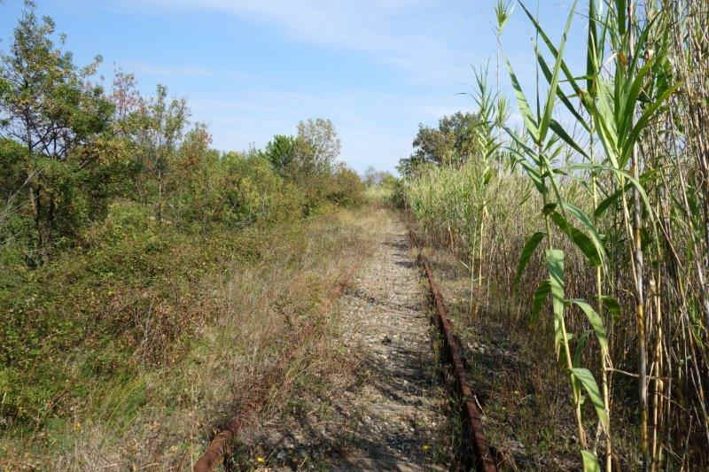 De la gare de Pézenas-Midi à la gare de Lézignan-la-Cèbe