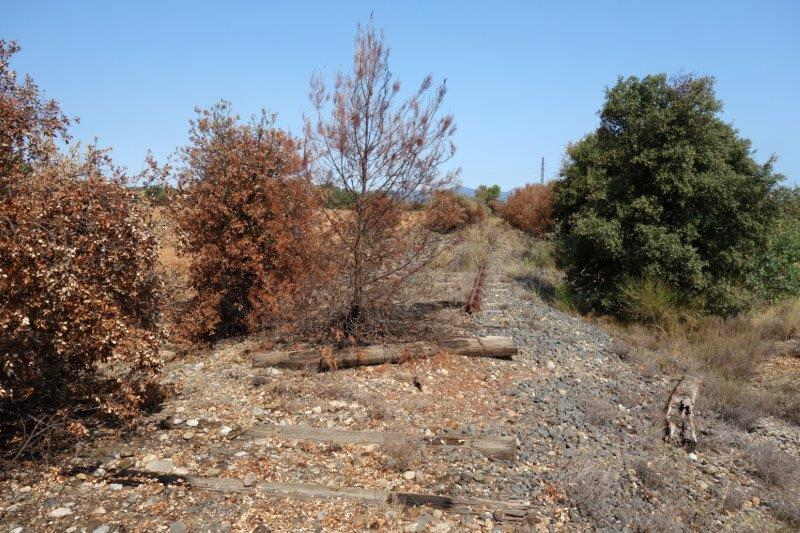 Agrandir l'image De la halte d'Aspiran à la gare de Clermont-l'Hérault