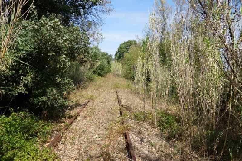 De la gare de Pézenas-Midi à la gare de Lézignan-la-Cèbe