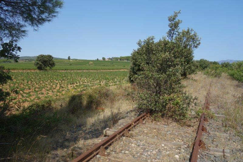 Agrandir l'image De la halte d'Aspiran à la gare de Clermont-l'Hérault
