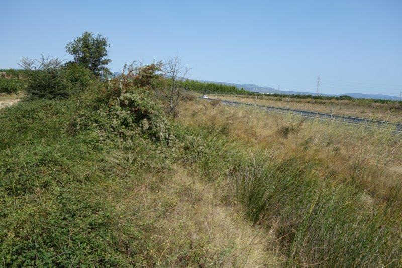 Agrandir l'image De la halte d'Aspiran à la gare de Clermont-l'Hérault