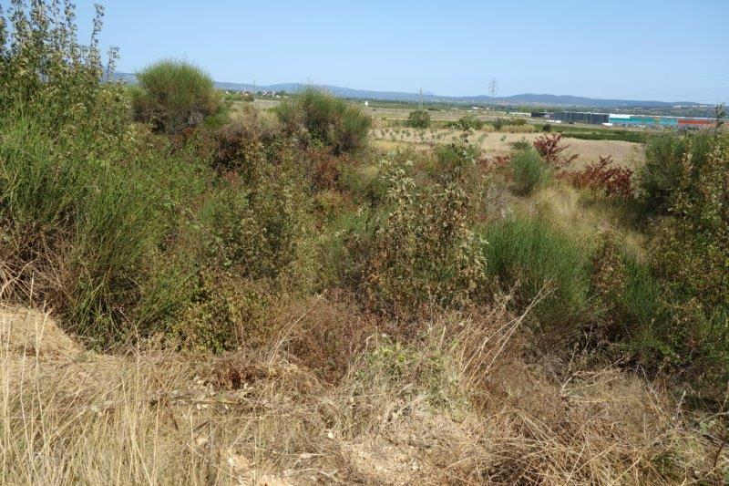 Agrandir l'image De la halte d'Aspiran à la gare de Clermont-l'Hérault