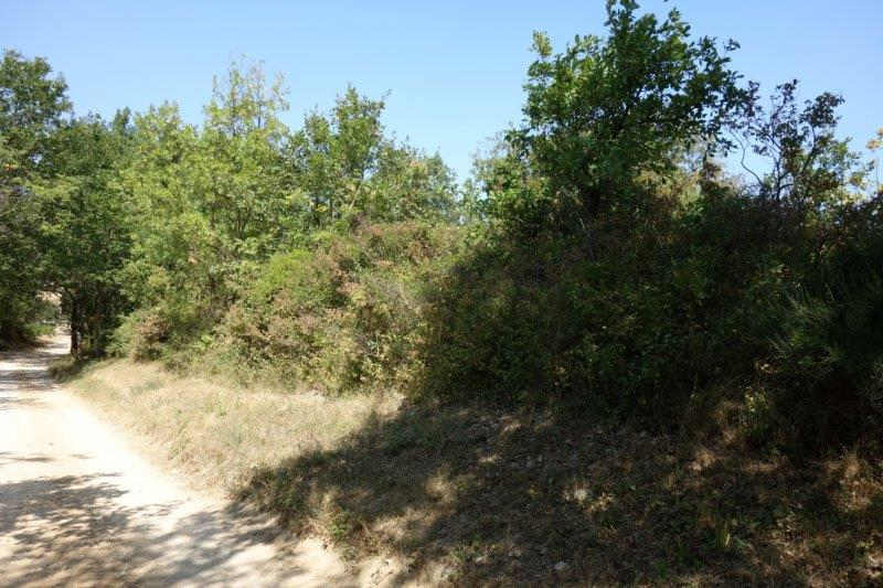 Agrandir l'image De la halte d'Aspiran à la gare de Clermont-l'Hérault