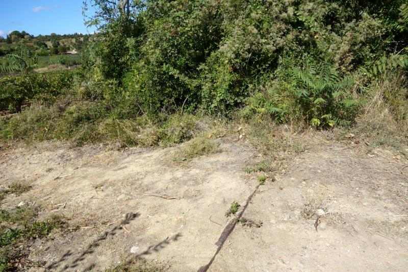 Agrandir l'image De la halte d'Aspiran à la gare de Clermont-l'Hérault