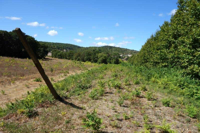 Agrandir l'image De la halte d'Aspiran à la gare de Clermont-l'Hérault