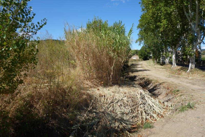Agrandir l'image De la halte d'Aspiran à la gare de Clermont-l'Hérault