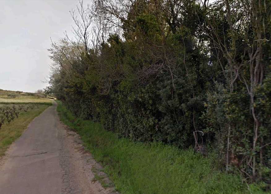 Agrandir l'image De la halte d'Aspiran à la gare de Clermont-l'Hérault