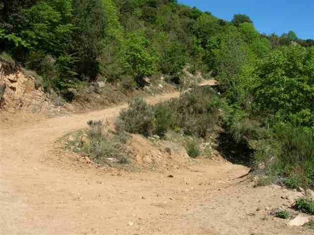 Agrandir l'image Epingle dans la montée au Coll de Sabènia de Baix