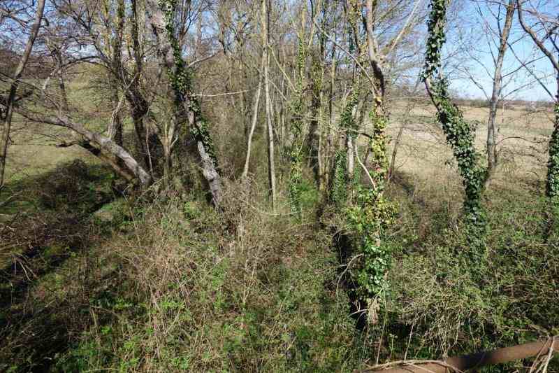 Agrandir l'image de la gare de Pamiers à la gare du Carlaret