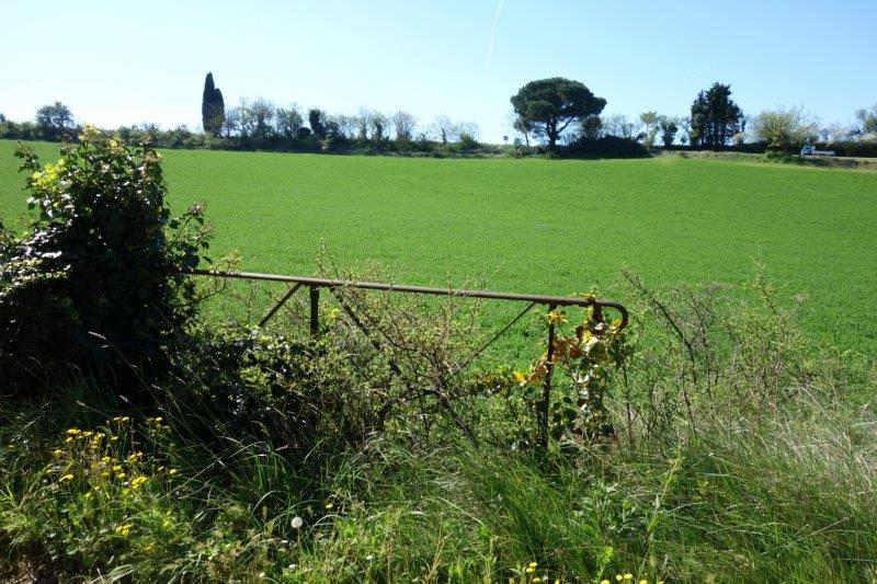 Agrandir l'image de la gare de Routier-Brugairolles à la halte de Malviès-Lauraguel