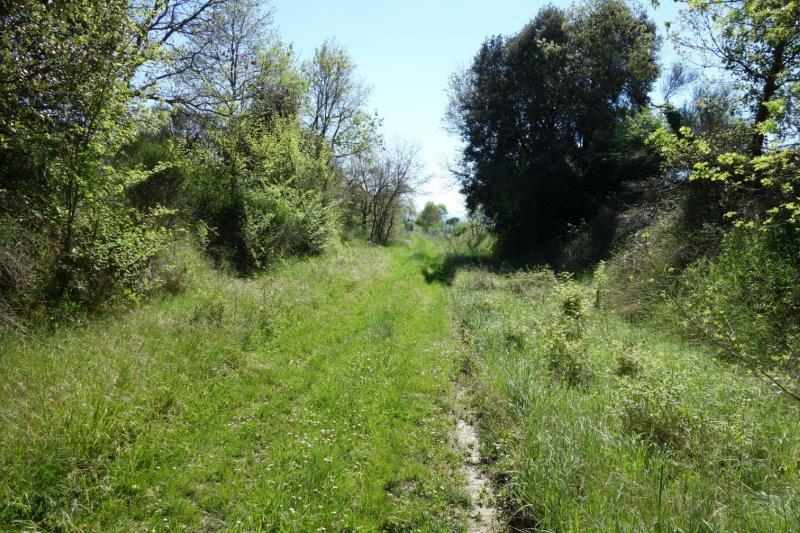 Agrandir l'image de la gare de Routier-Brugairolles à la halte de Malviès-Lauraguel
