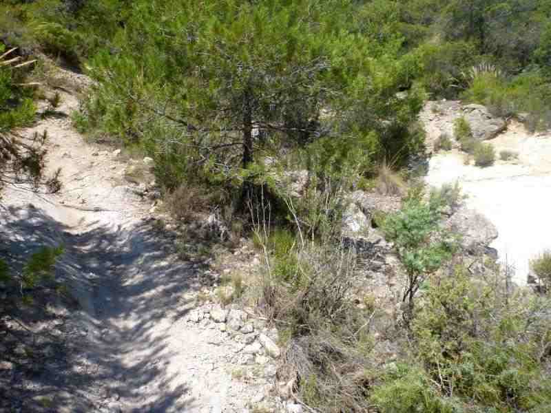 Agrandir l'image En direction du Puerto de la Carrasquilla