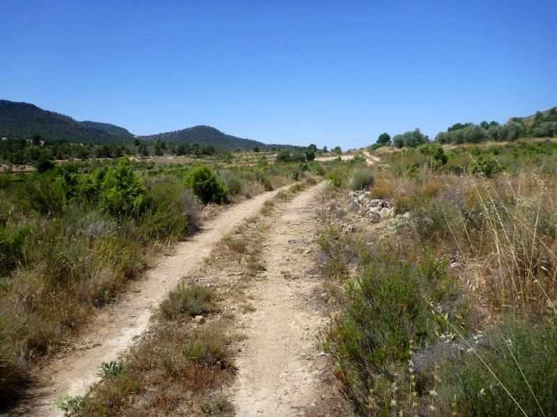 Agrandir l'image En direction du Collado del Monte de las Andaluzas
