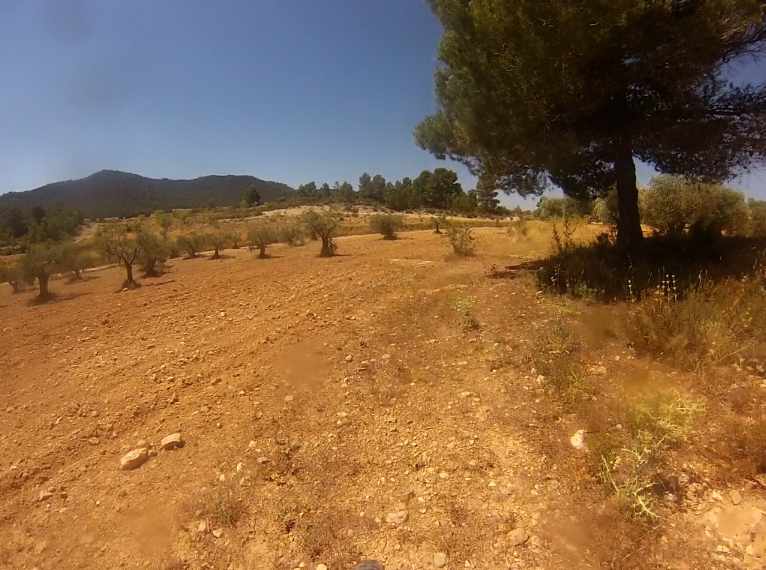 Agrandir l'image En direction du Collado del Monte de las Andaluzas