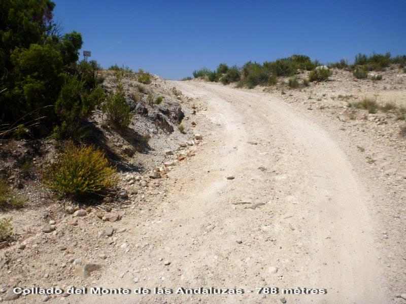 Agrandir l'image En direction du Collado del Monte de las Andaluzas