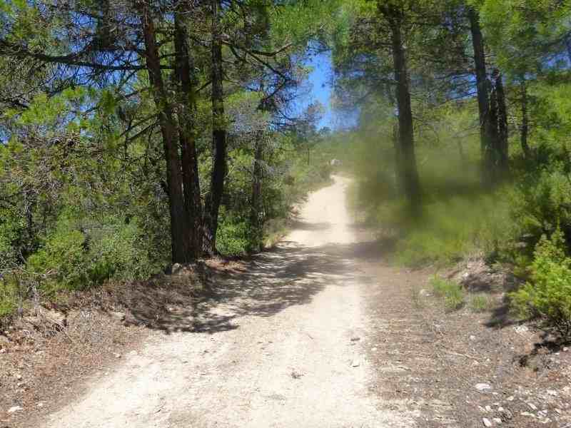 Agrandir l'image En direction du Collado de Bochorna