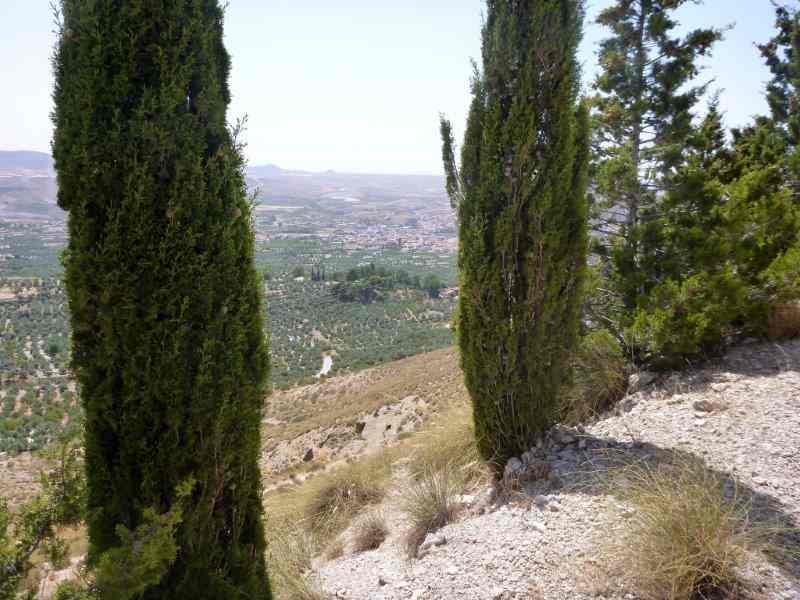 Agrandir l'image En direction du Collado de Carriquetas