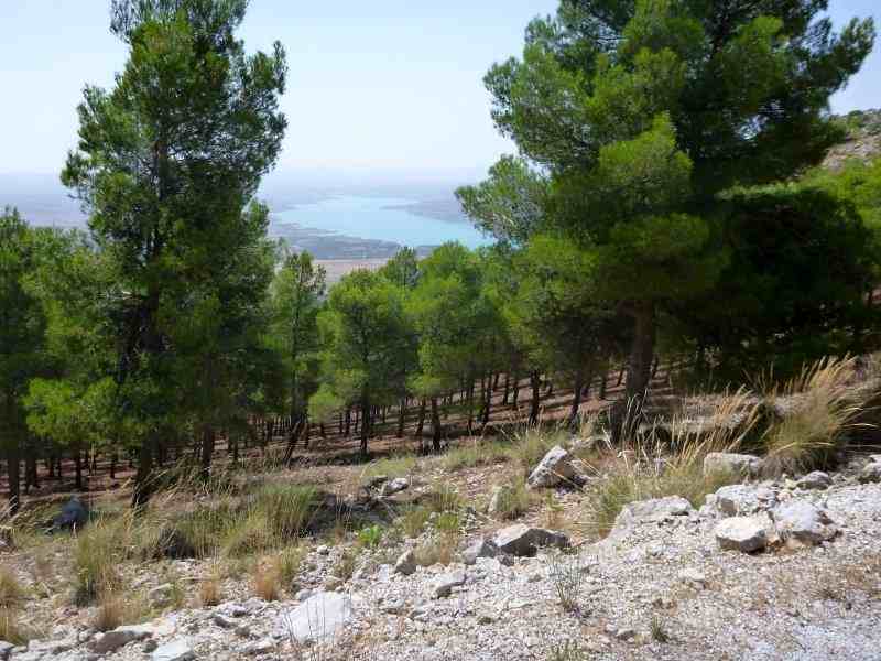 Agrandir l'image En direction du Collado de Carriquetas